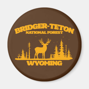 Aimant Forêt nationale de Bridger-Teton
