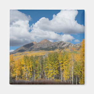 Aimant Forêt nationale de Gunnison, Colorado