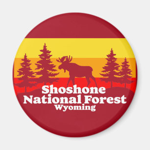 Aimant Forêt nationale de Shoshone Wyoming