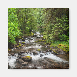 Aimant Forêt nationale de Siuslaw Sweet Creek