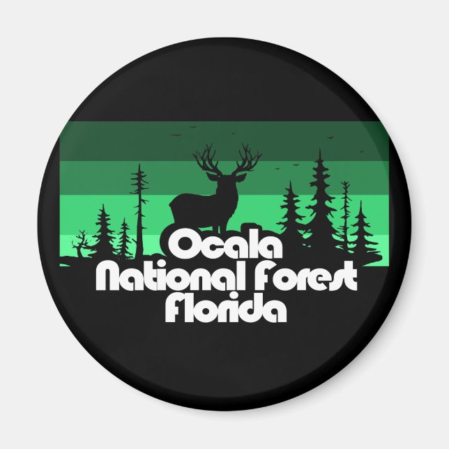 Aimant Forêt nationale d'Ocala Floride (Devant)