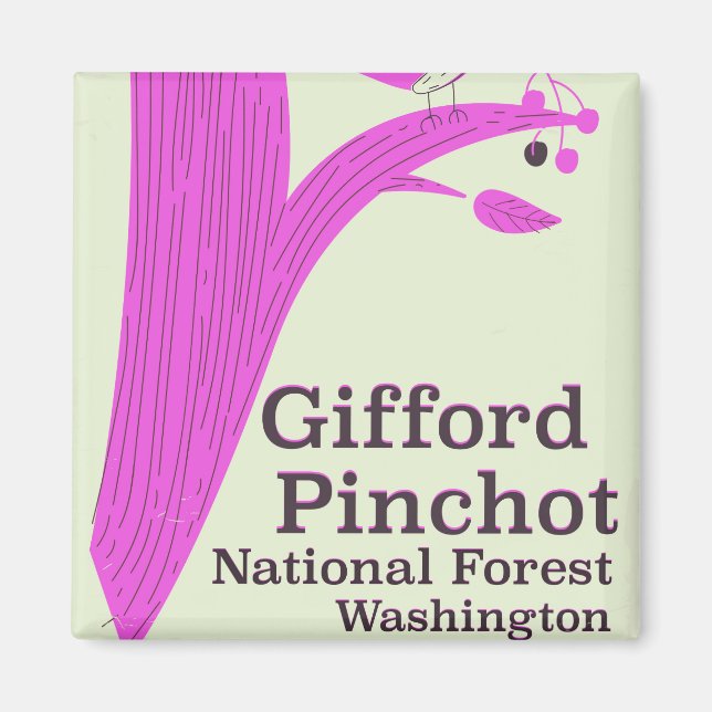 Aimant Forêt nationale Gifford Pinchot Washington (Devant)