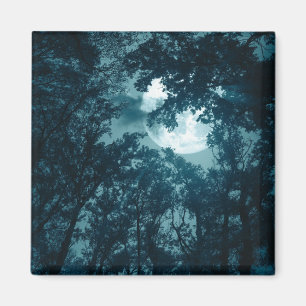 Aimant Forêt nocturne enchanteresse avec Pleine lune