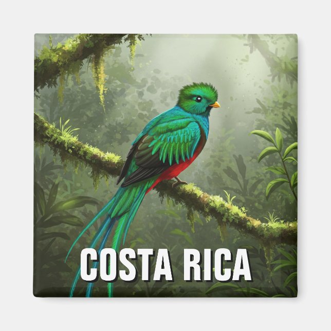Aimant Forêt nuageuse de Quetzal Monteverde (Devant)