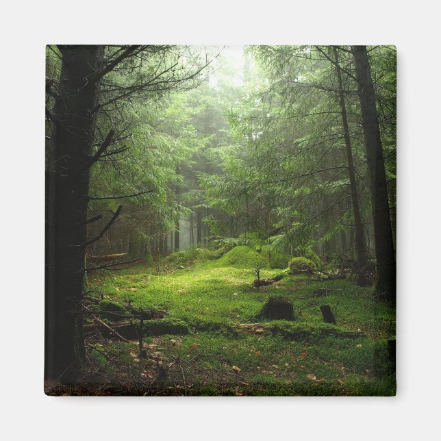 Aimant Forêt stérile (Devant)