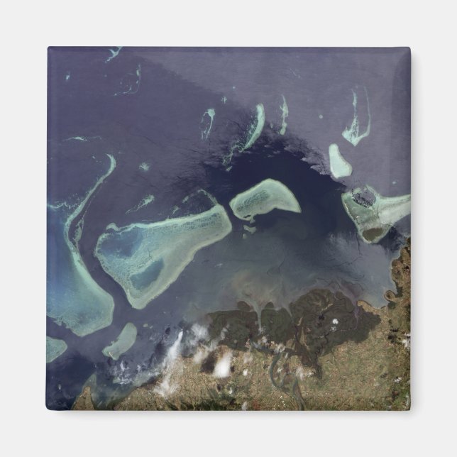 Aimant Forêt verte profonde sur terre (Devant)