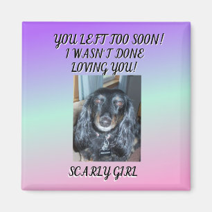 Aimant Forever Cherished : Hommage À Mon Fur Baby 1 photo