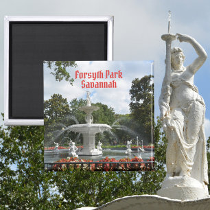 Aimant Forsyth Park Fontaine Savannah Georgi Photographie
