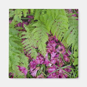 Aimant Fougères de forêt avec des pétales de fleurs roses