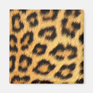 Aimant Fourrure Jaguar