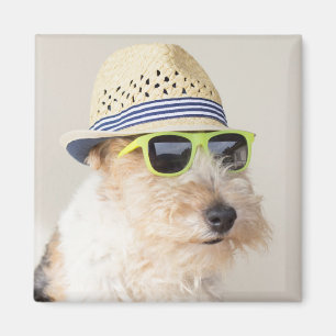 Aimant Fox Terrier