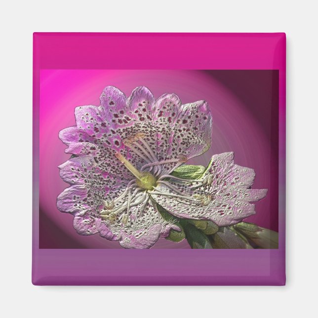 Aimant Foxglove Abberant (Devant)