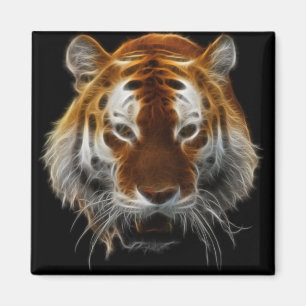 Aimant Fractage du tigre