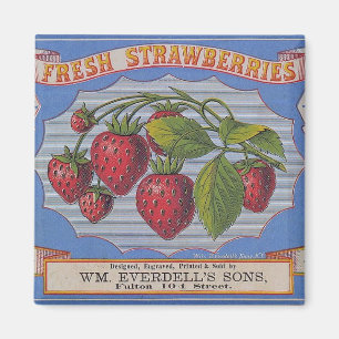 Aimant frais vintage de fraises