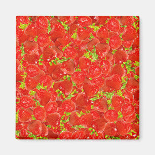 Aimant Fraises
