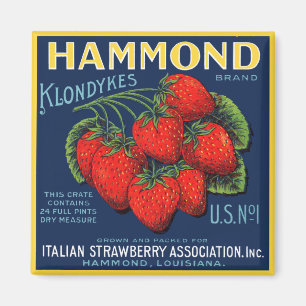 Aimant Fraises de Hammond Klondykes