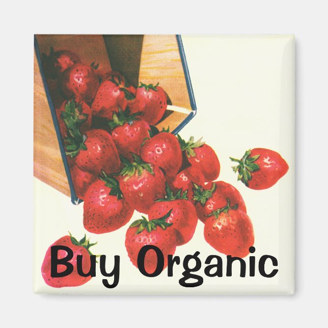 Aimant Fraises vintages en Panier, Fruits alimentaires (Devant)