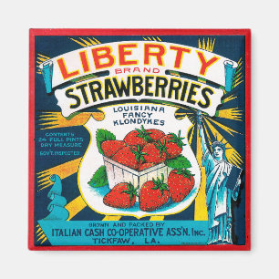 Aimant Framboises Liberty