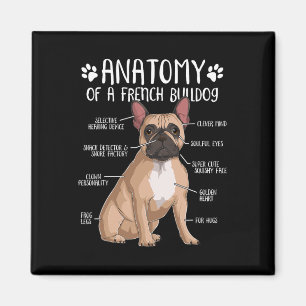 Aimant Français Bulldog Anatomie Français Amoureux des ch