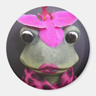 Aimant français de grenouille