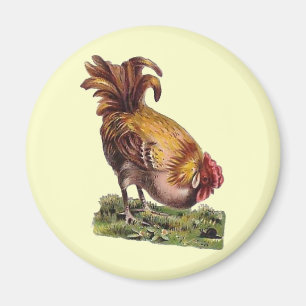 Aimant français vintage de réfrigérateur de coq