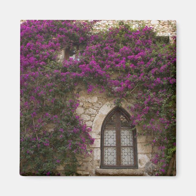 Aimant France, Provence, Èze. Rose vif (Devant)