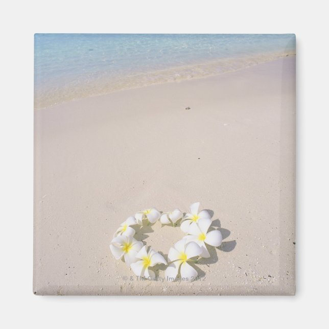 Aimant Frangipani sur la plage (Devant)