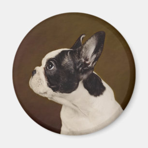 Aimant Frenchie