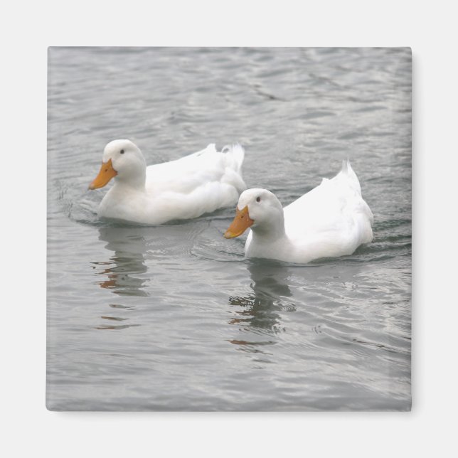 Aimant Friends (Devant)