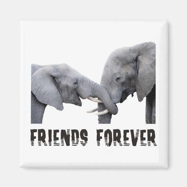Aimant Friends Forever Elephants embrasser / embrasser (Devant)