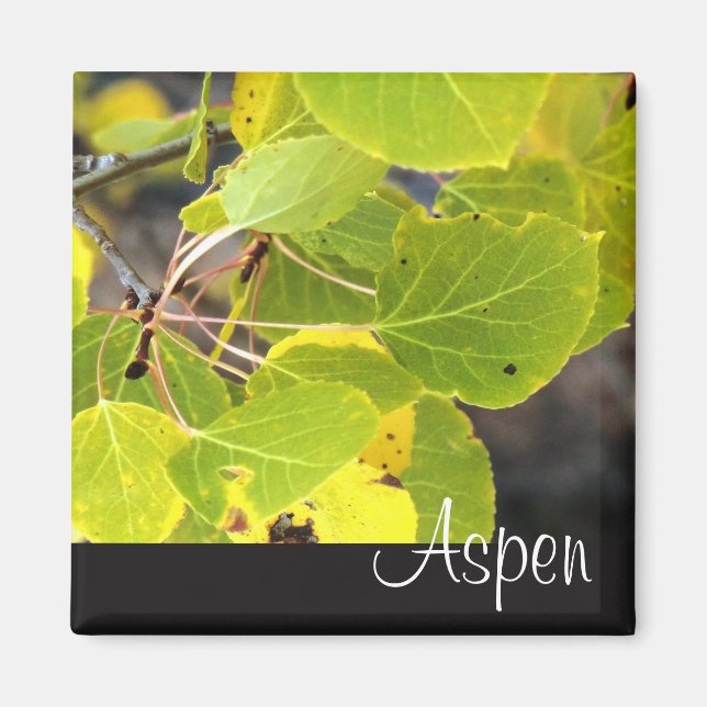 Aimant frigo Aspen (Devant)