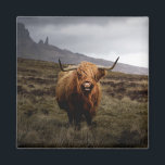 Aimant frigo écossais Highland<br><div class="desc">Aimant frigorifique écossais de vache Highland à l'île de Skye</div>