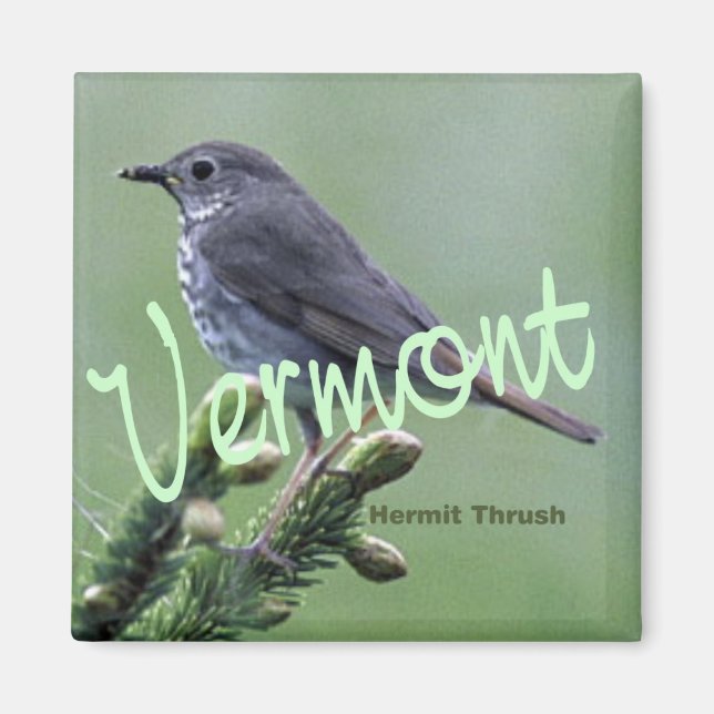 Aimant frigo Hermite Thrush Oiseau du Vermont (Devant)
