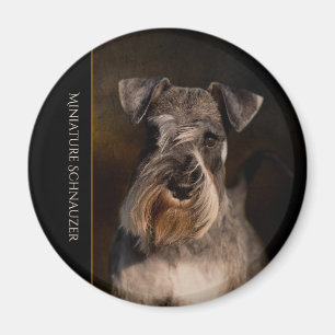 Aimant frigo Schnauzer miniature