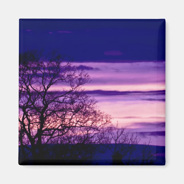 Aimant frigo Silhouette Purple Sunset Tree (Devant)