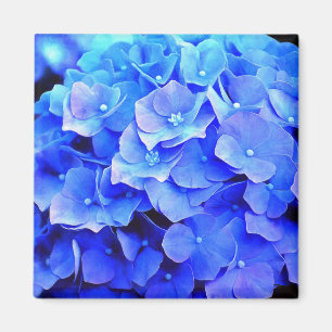 Aimant frigorifique Blue Hydrangeas