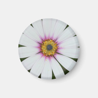 Aimant frigorifique Floral