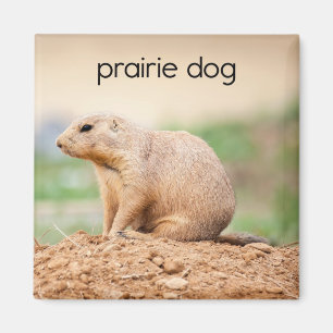 Aimant frigorifique pour chien des Prairies