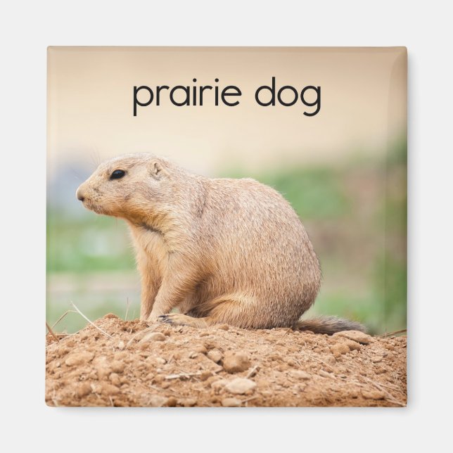 Aimant frigorifique pour chien des Prairies (Devant)