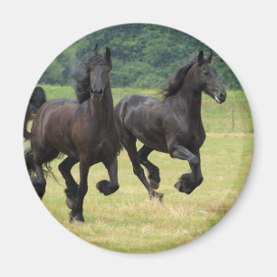 Aimant frison galopant de chevaux