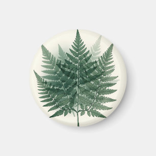 Aimant Frondes de fougère verte élégantes - Botanique