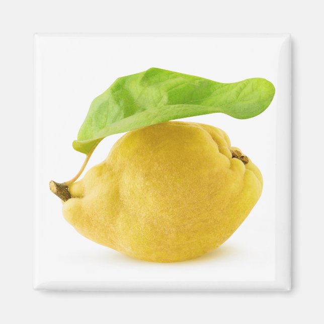 Aimant Fruit de coing (Devant)