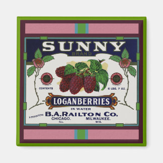Aimant Fruit de Loganberry