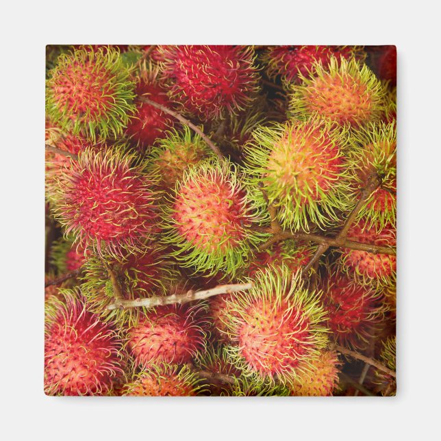 Aimant Fruit de rambutan au marché de Can Duoc (Devant)