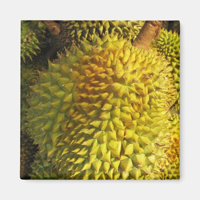 Aimant Fruit durian (Devant)