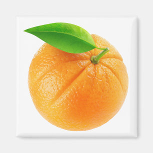 Aimant Fruit orange
