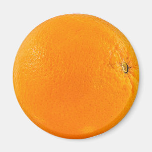 Aimant Fruit orange