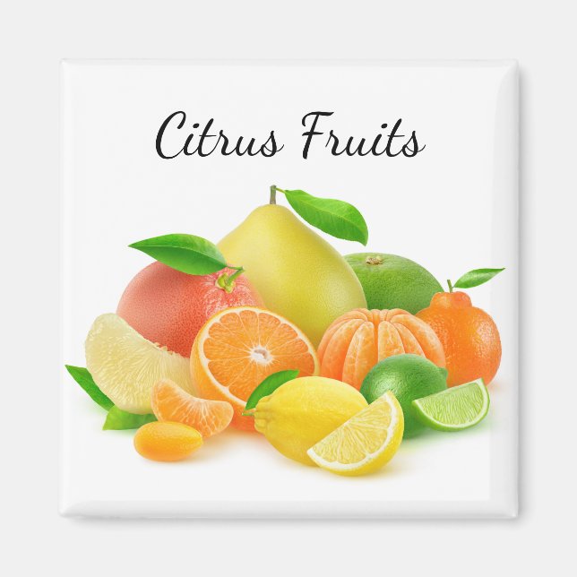 Aimant Fruits d'agrumes (Devant)