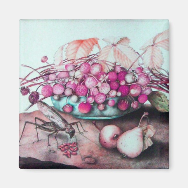 AIMANT FRUITS DE SAISON 3 (Devant)