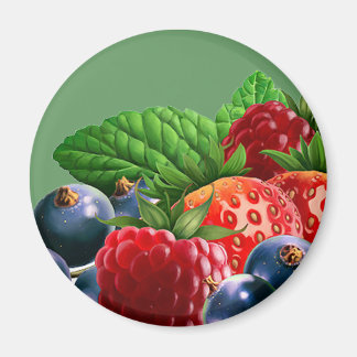 Aimant Fruits mixtes